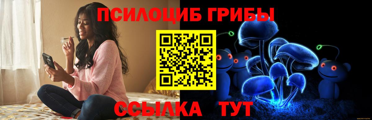 Галлюциногенные грибы Psilocybe  Вход с VPN  Куйбышев 